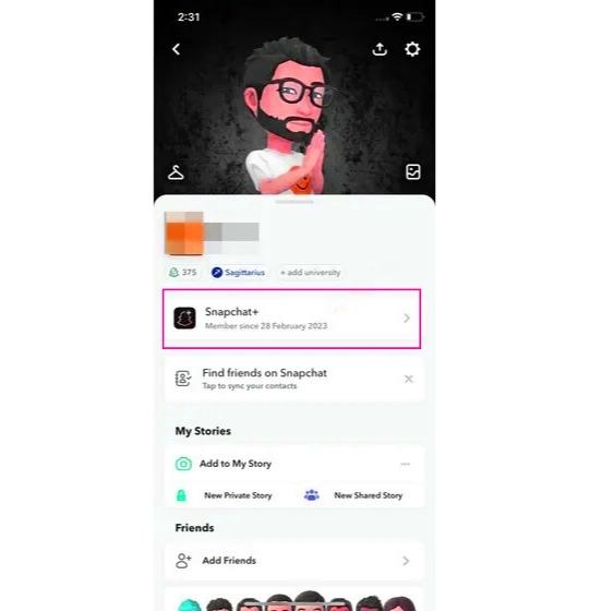 How To Remove & Unpin My AI On Snapchat? Step-By-Step Guide 9 Click on Snapchat plus