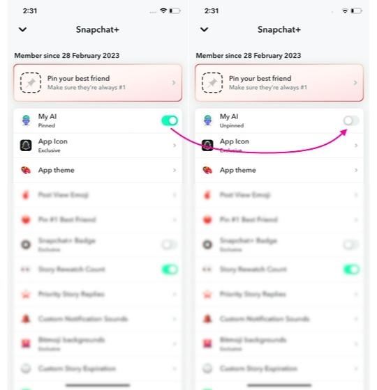 How To Remove & Unpin My AI On Snapchat? Step-By-Step Guide 10 Toggle to disable it