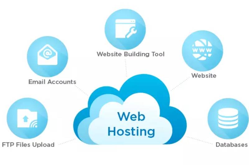 What is Web Hosting? 1 web host