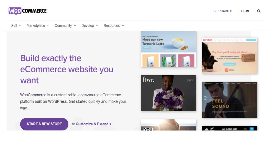 Best ecommerce platform in 2021 5 Woo commerce