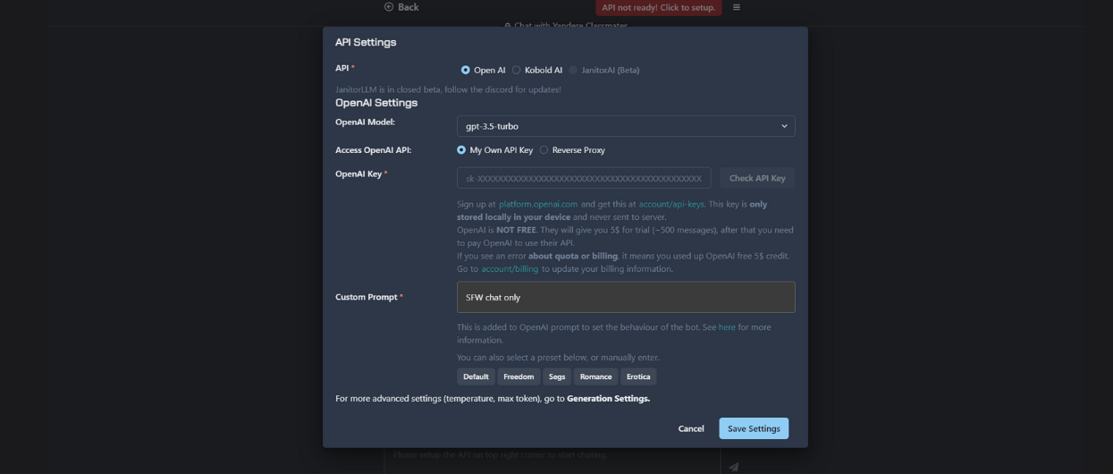 API setting window Janitor AI