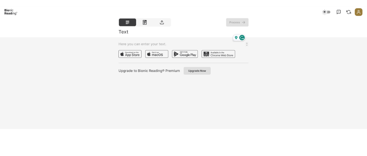 A Complete Guide To Bionic Reading 3 Bionic reading converter